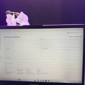 Carte graphique NVIDIA GeForce RTX 2060 6 Go du Lenovo Legion 5