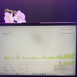 SSD NVMe 256 Go du Lenovo Legion 5